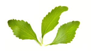 Illustrazione di tre foglie di stevia, una delle componenti dell'integratore naturale per la pelle Derma 355 di Dinamys
