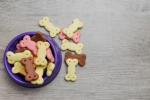 ciotola piena di snack per cani