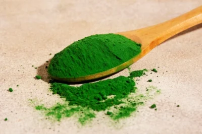 polvere di alga clorella