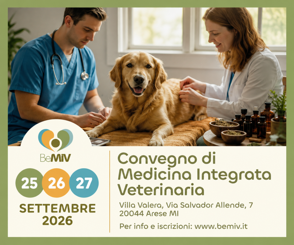 copertina bemiv 2026