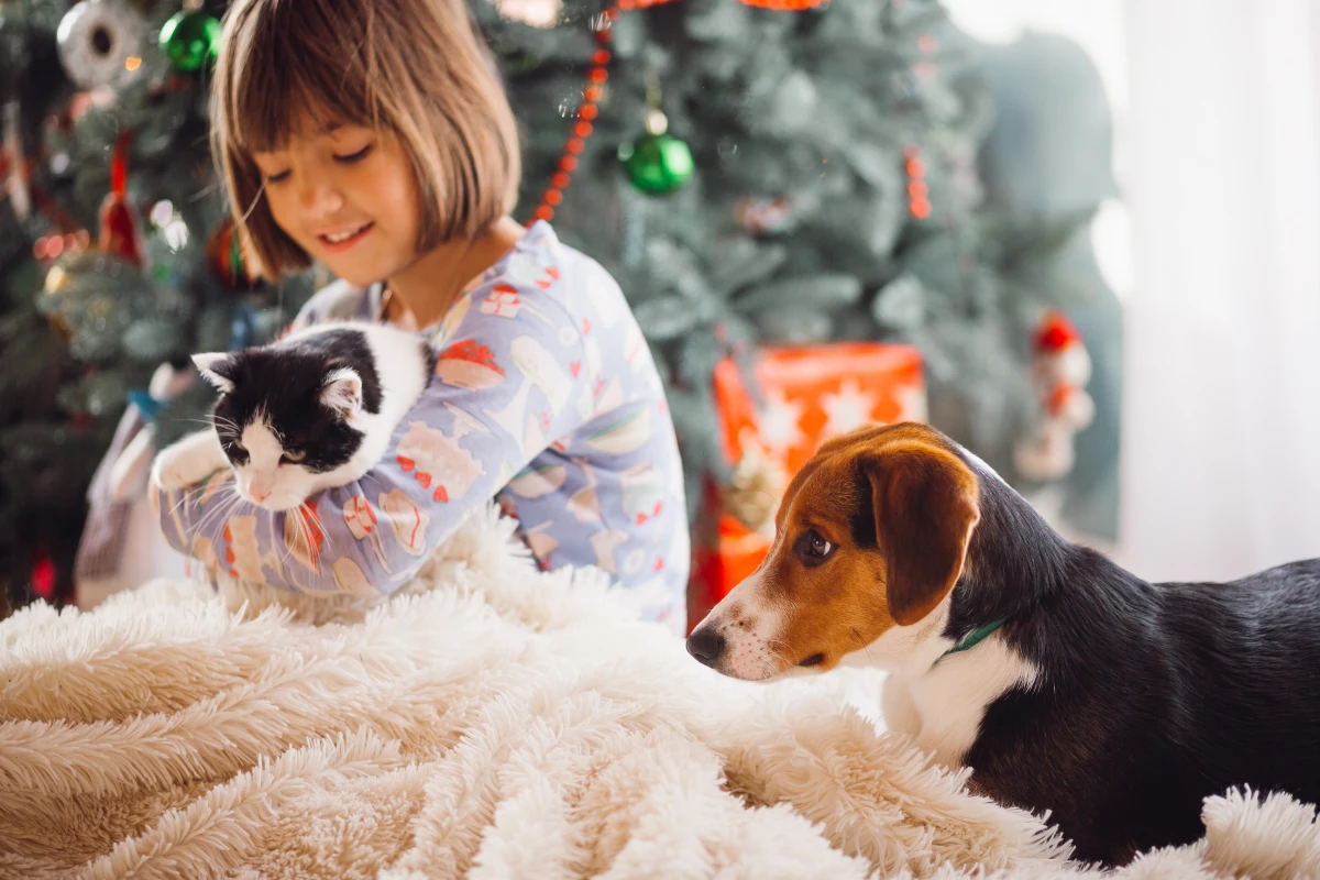gatto e cane a natale in braccio a una bambina sotto l'albero