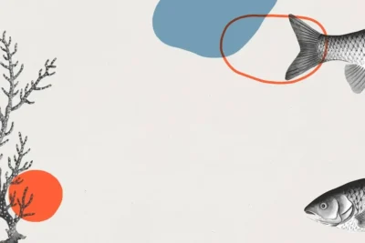 illustrazione di pesce e crostacei, fonte di omega 3 