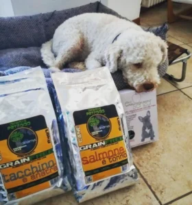 barboncino binco con sacchi di crocchette grain free Dinamys tacchino e anatra, tonno e salmone, più una scatola di biscotti per cani naturali alla mela Essenza di Dinamys