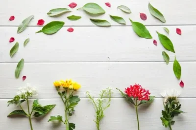 composizione di fiori e piante adattogene e rilassanti